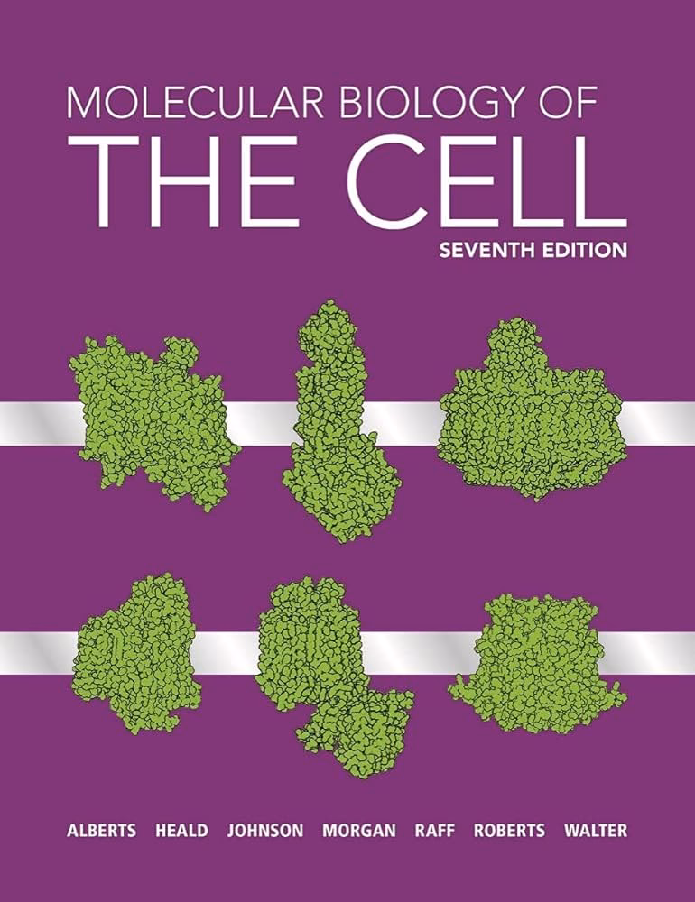 ¿Cuál es el perfil de Albert?