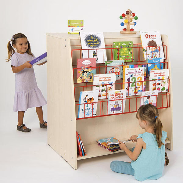 ¿Por qué se presentan los libros en Anexo?