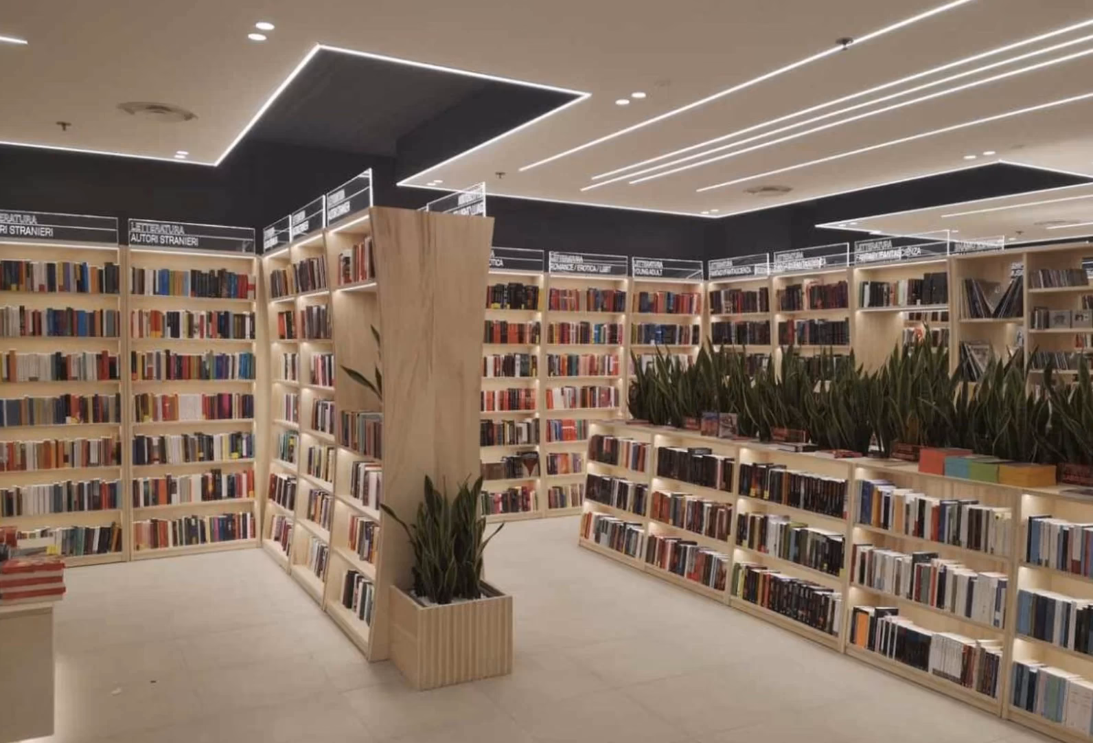 ¿Qué ofrece Aurelia para que tu piel brille e ilumine tus días?