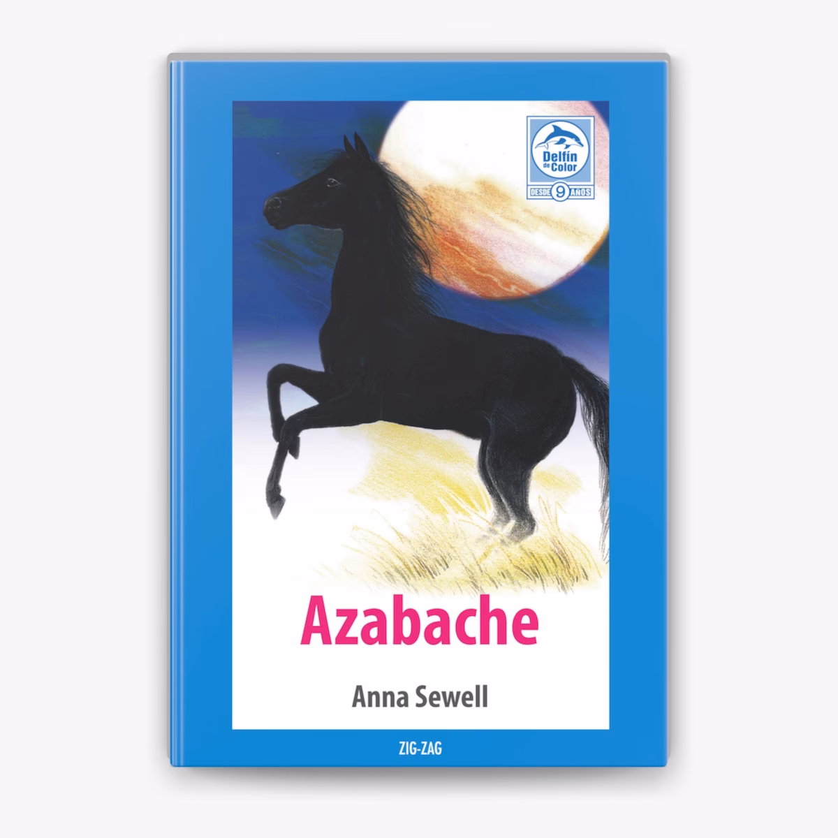 ¿Qué tipo de texto es azabache?