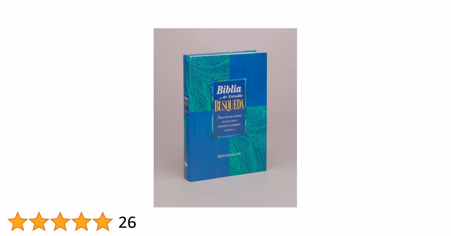 ¿Qué dice la Biblia sobre la búsqueda?