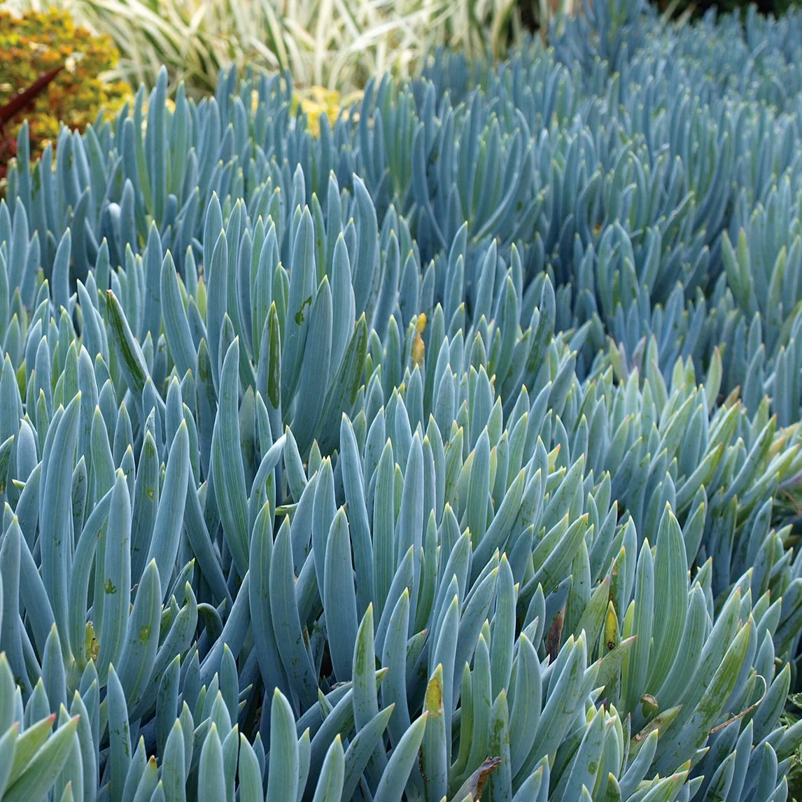 Is blue Chalk Media an equal opportunity employer?