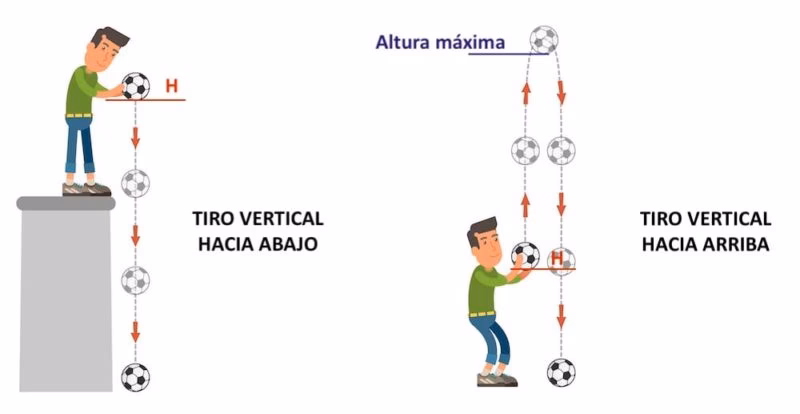 ¿Cuál es la velocidad de los cuerpos en caída libre?