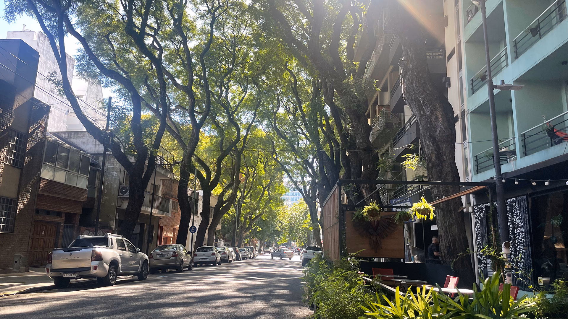 ¿Qué hacer en Palermo?