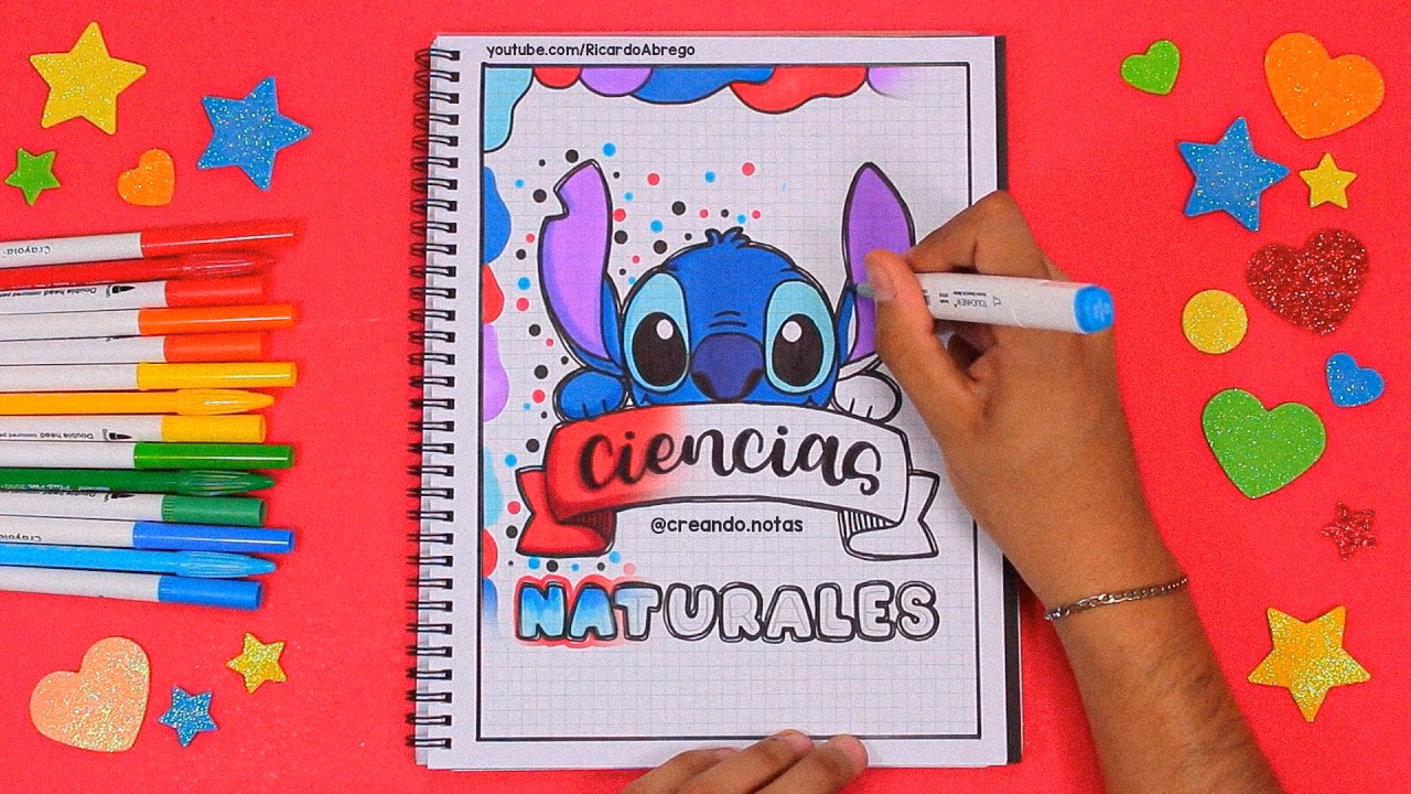 ¿Qué productos ofrece Stich?