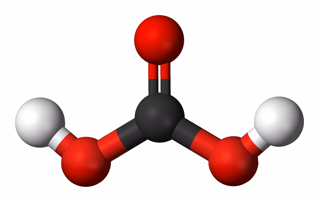 ¿Qué productos fabrica el grupo Carboni?