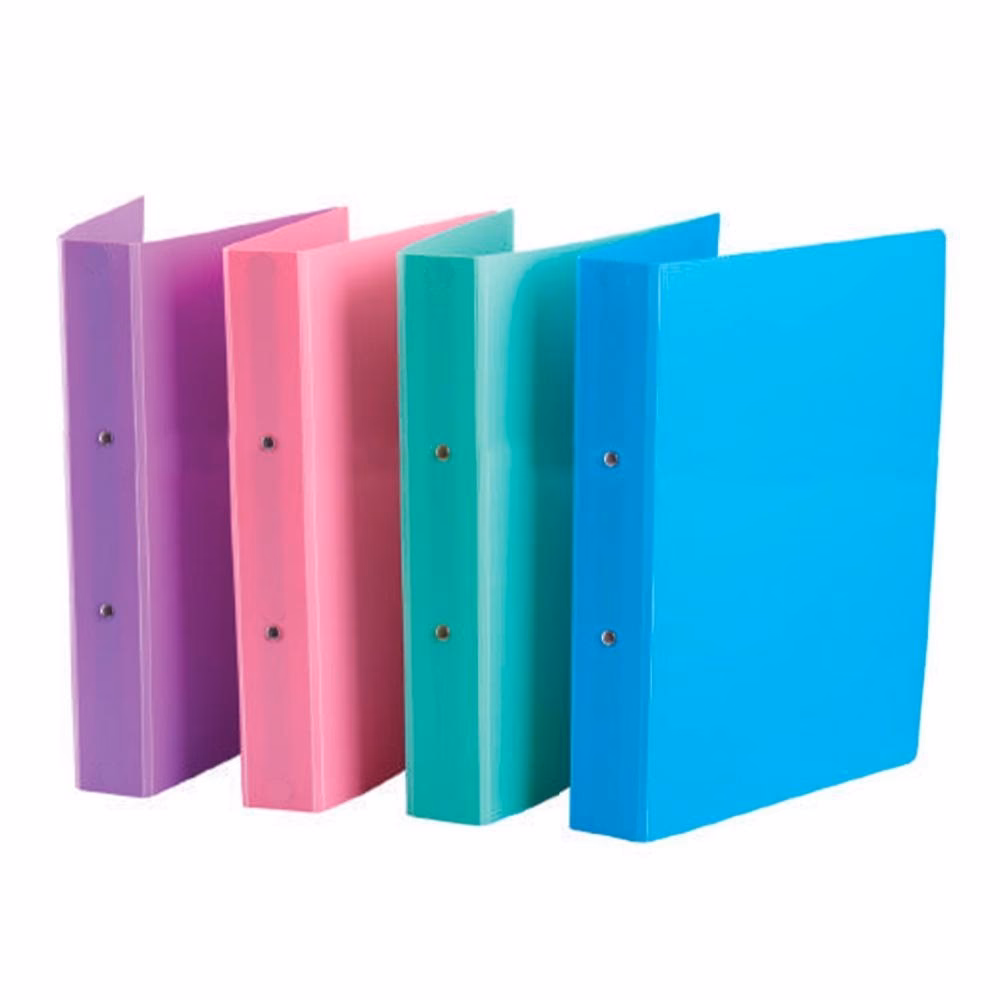 ¿Cuánto cuesta una carpeta?