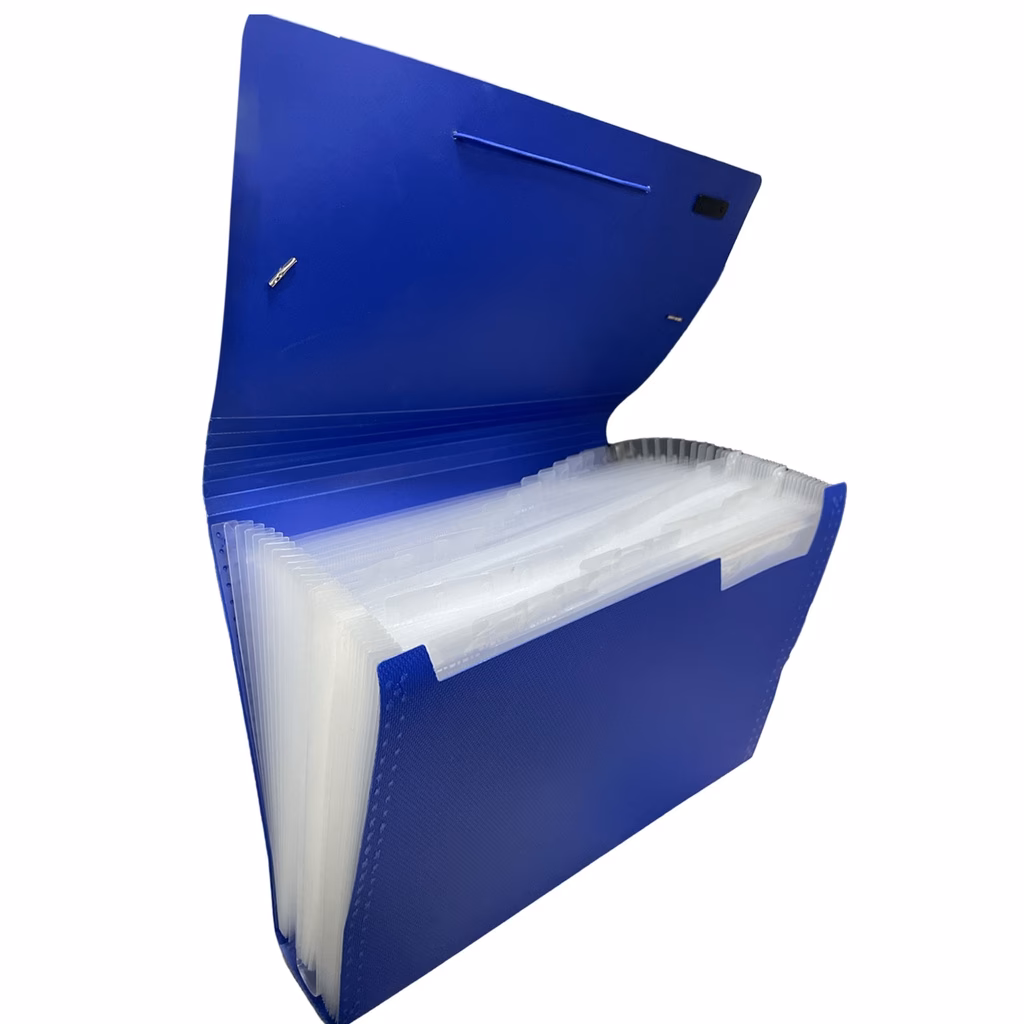 ¿Qué es una carpeta organizadora?