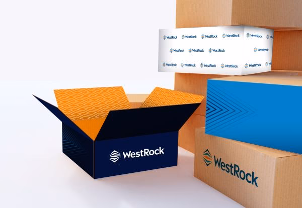 ¿Cuál fue el impacto de casas de cartón?