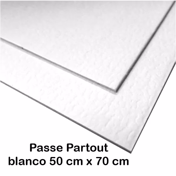 ¿Cuáles son los diferentes tipos de cartones Passepartout?