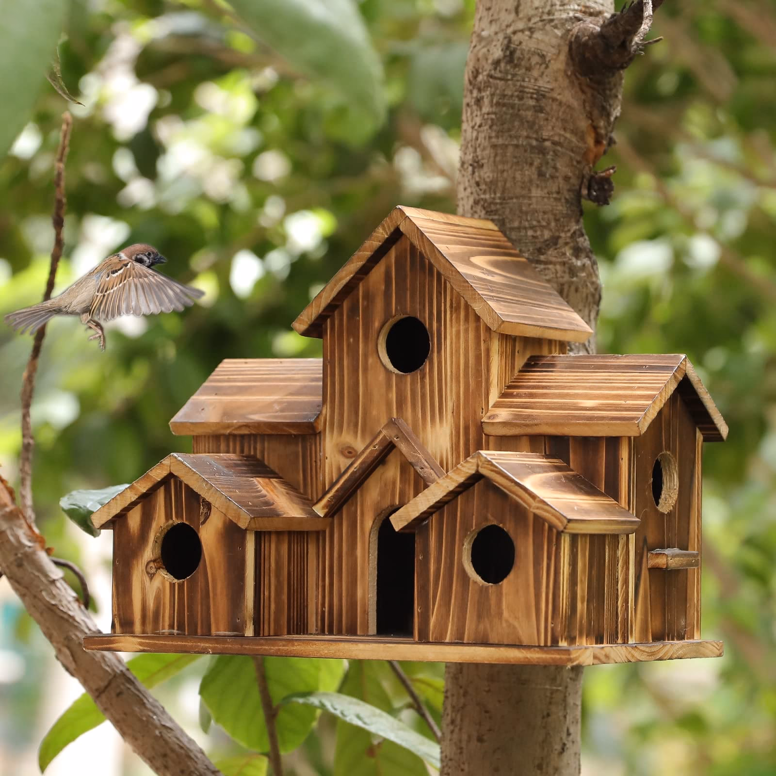 ¿Por qué las casas para pájaros de madera son más atractivas para las aves?