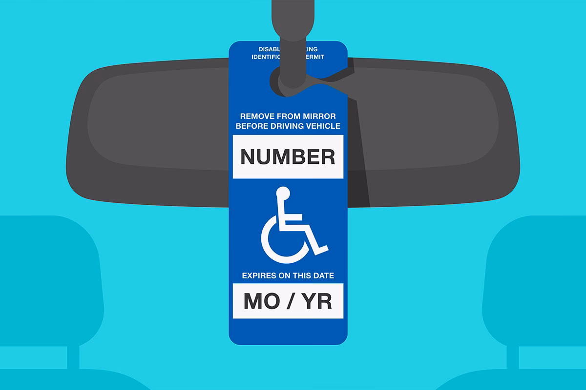 ¿Qué es la entrada de personas de discapacidad?