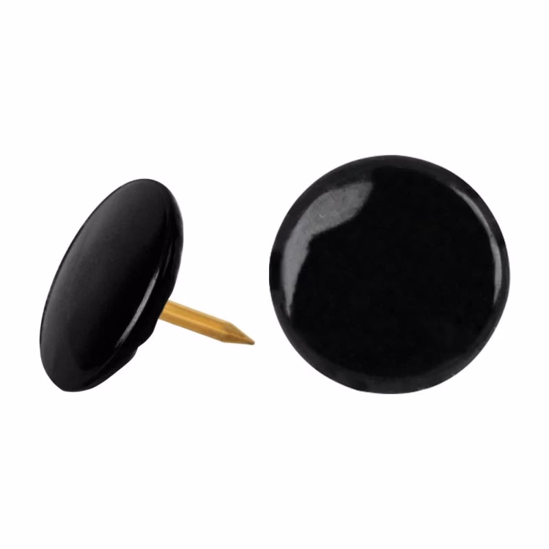 ¿Cuáles son los mejores tratamientos para los chinches?