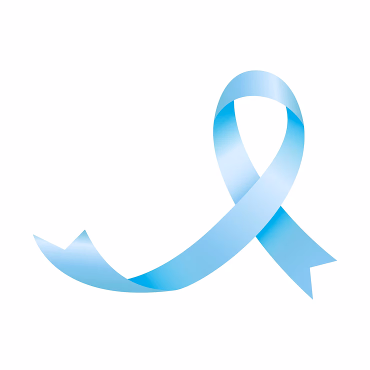 ¿Cómo visten la celeste y blanca?