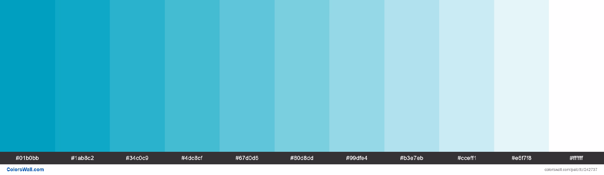 ¿Cuál es la tonalidad del color calipso?