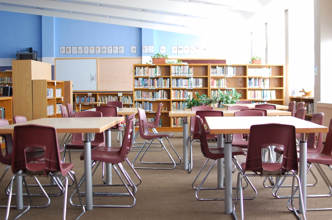 ¿Qué hacer en un curso de librería?