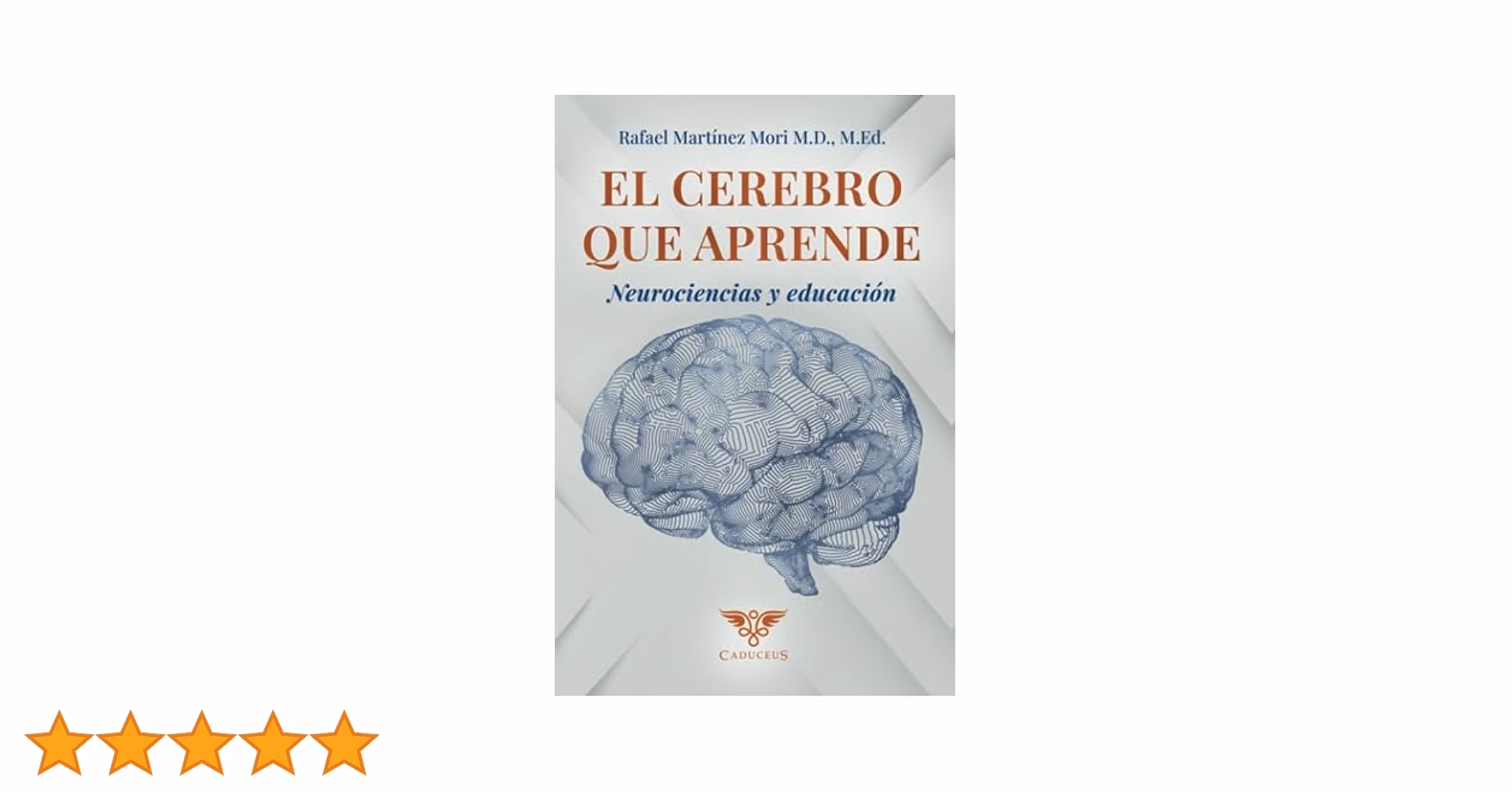 ¿Qué es el cerebro y cómo está constituido?
