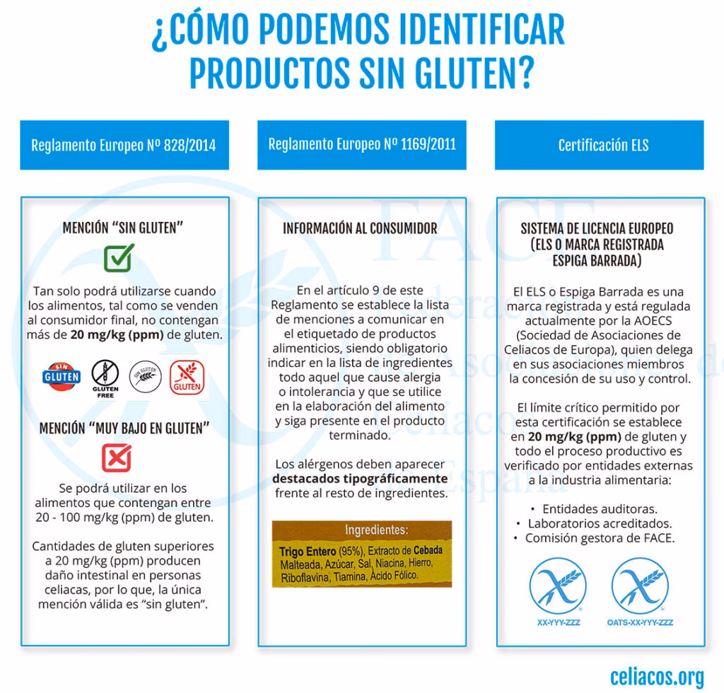 ¿Qué son los alimentos libres de gluten?