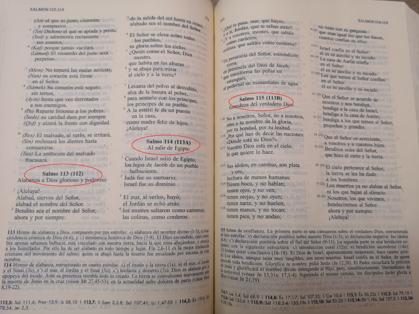 ¿Cómo se abrevian las fechas?