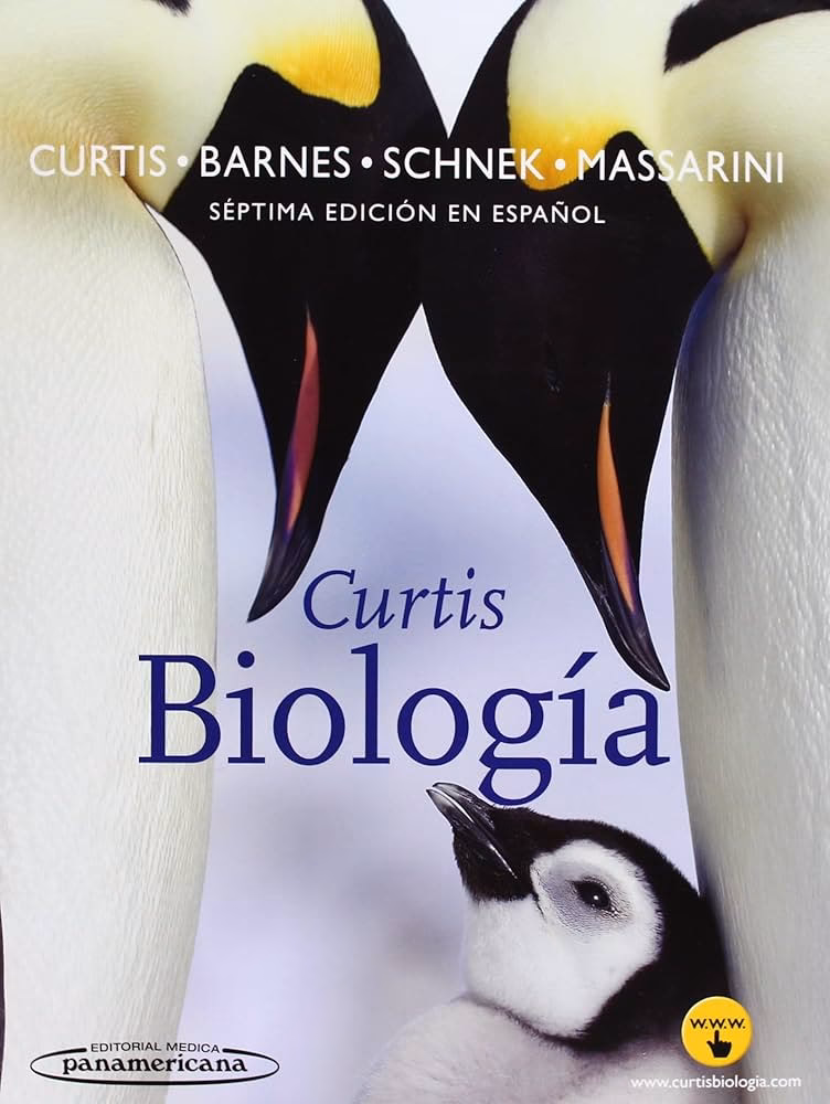 ¿Quién fue la última persona que habló con Curtis?