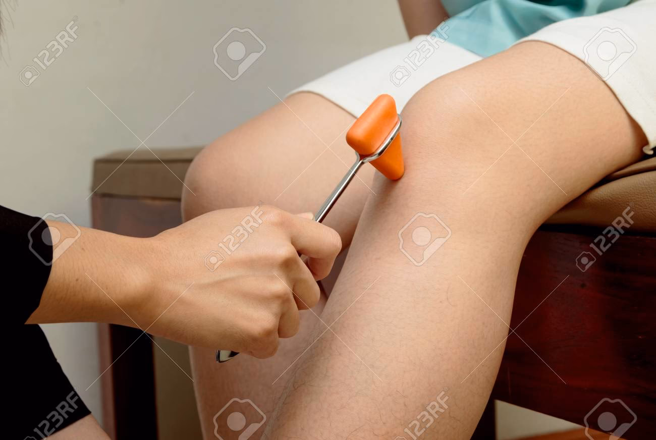 ¿Cómo se clasifican los reflejos?