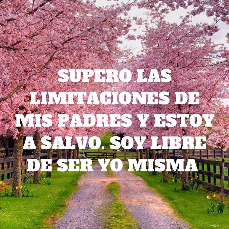 ¿Cuáles son las limitaciones del software libre?