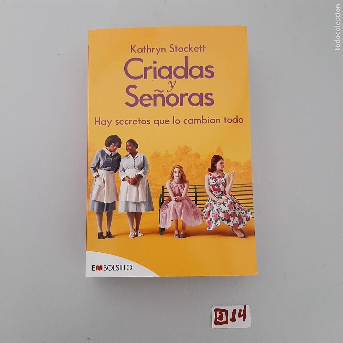 ¿Qué trata la novela Criadas y señoras?