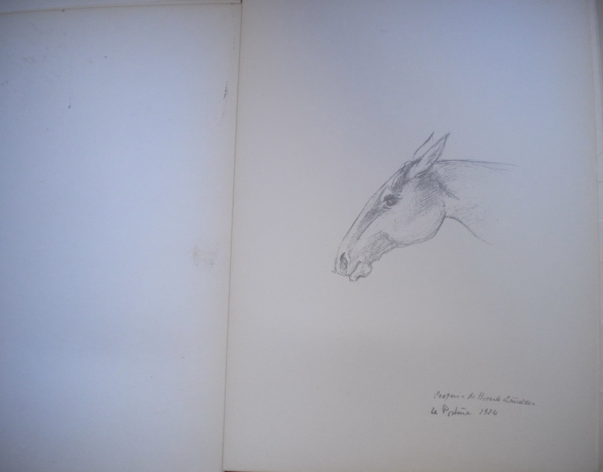 ¿Qué es la Biblioteca Ricardo Güiraldes?