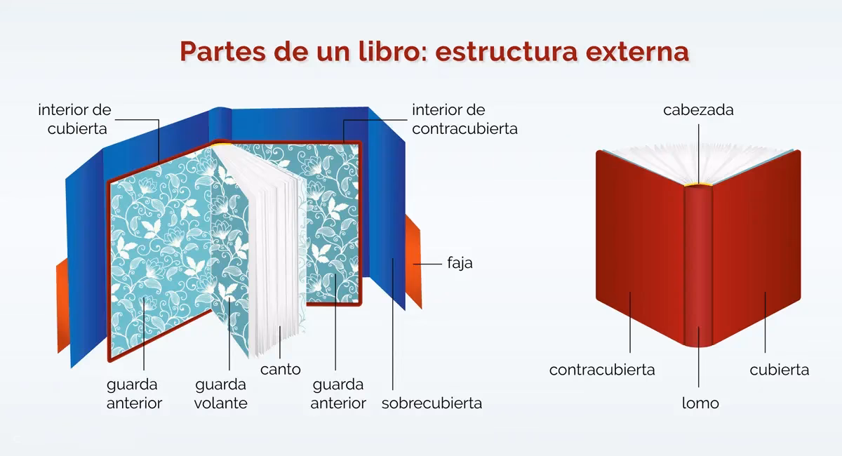 ¿Qué es el canto de un libro?
