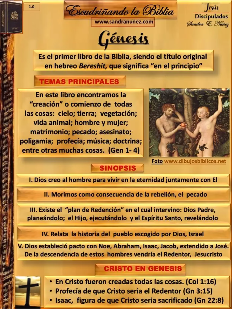 ¿Qué se narra en el libro de Génesis?