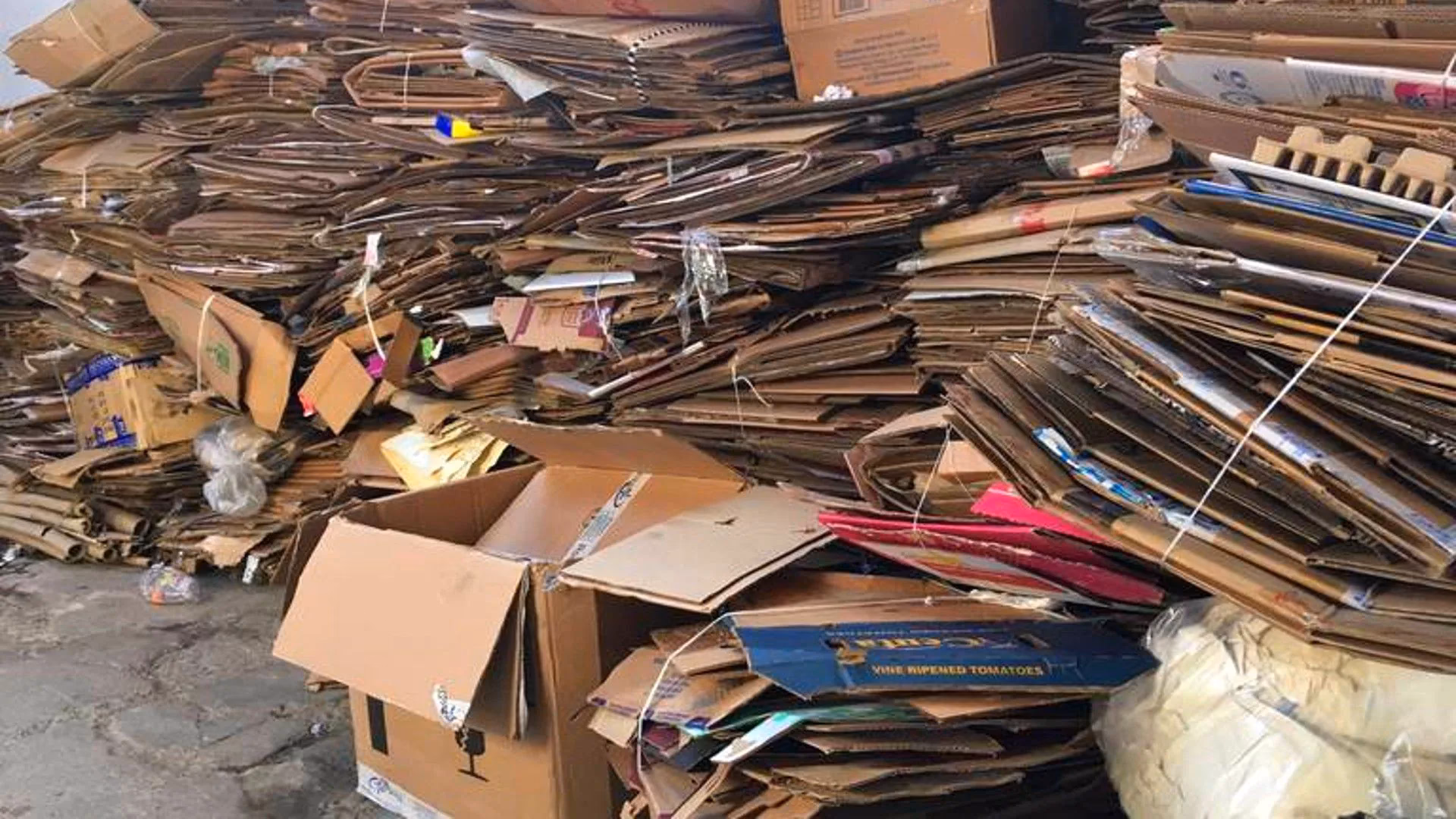 ¿Cómo se transforman los kilos y kilos de cartón?