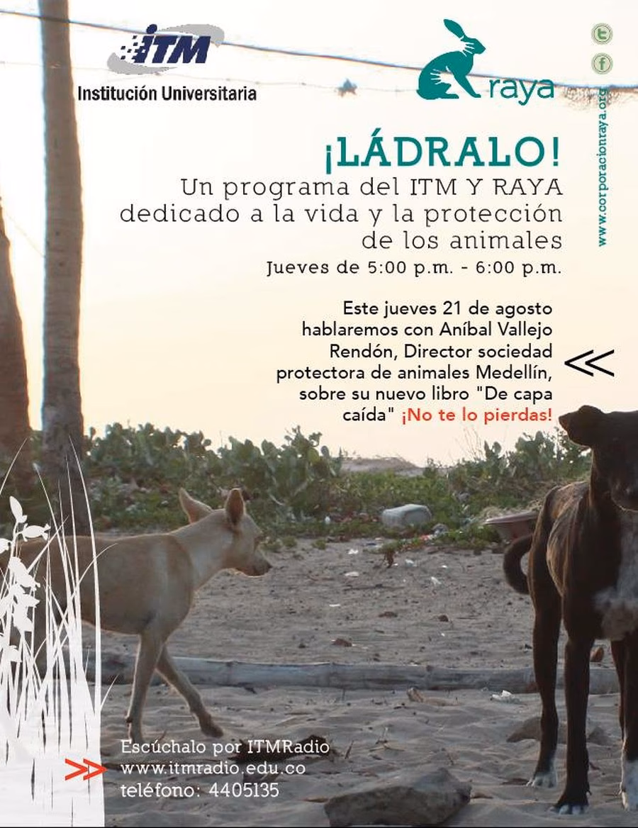 ¿Cuándo se aplica la expresión 'ir de capa caída'?