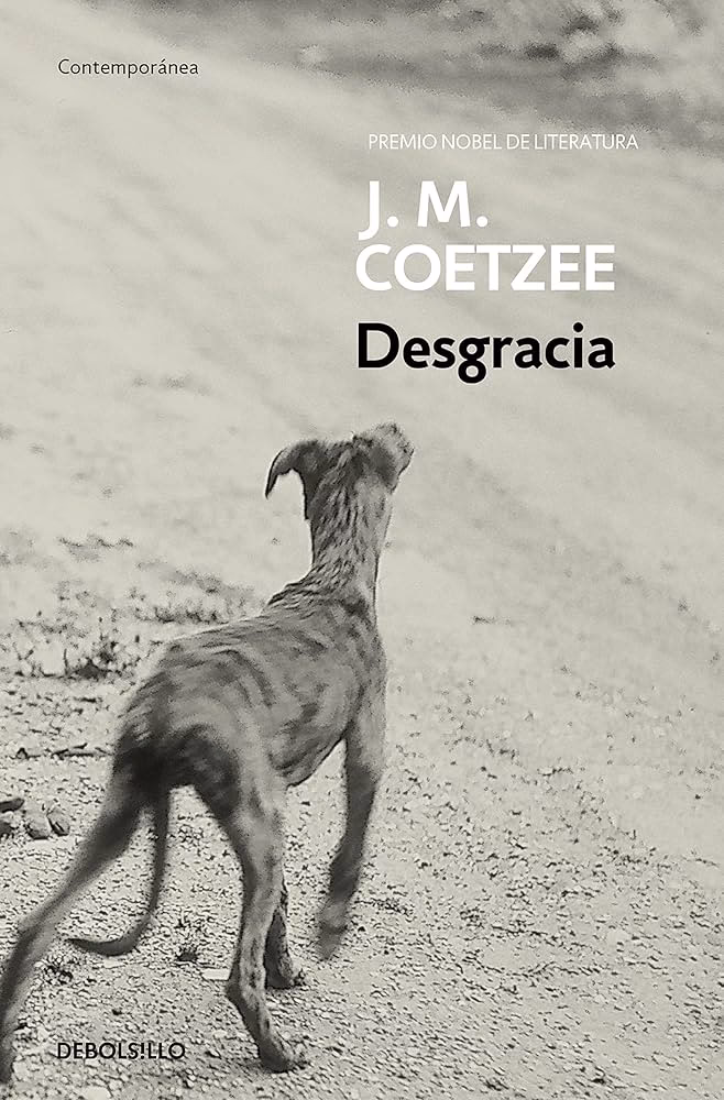 ¿Cuáles son los libros más importantes de Coetzee?