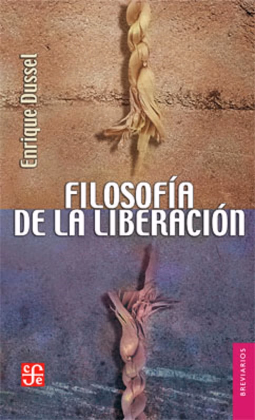 ¿Cuáles son las ideas que liberan?