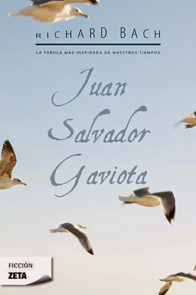 ¿Qué busca Juan Salvador Gaviota?