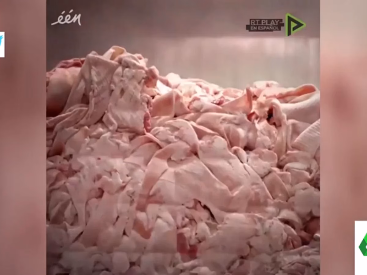 ¿De qué están hechas las gomitas?