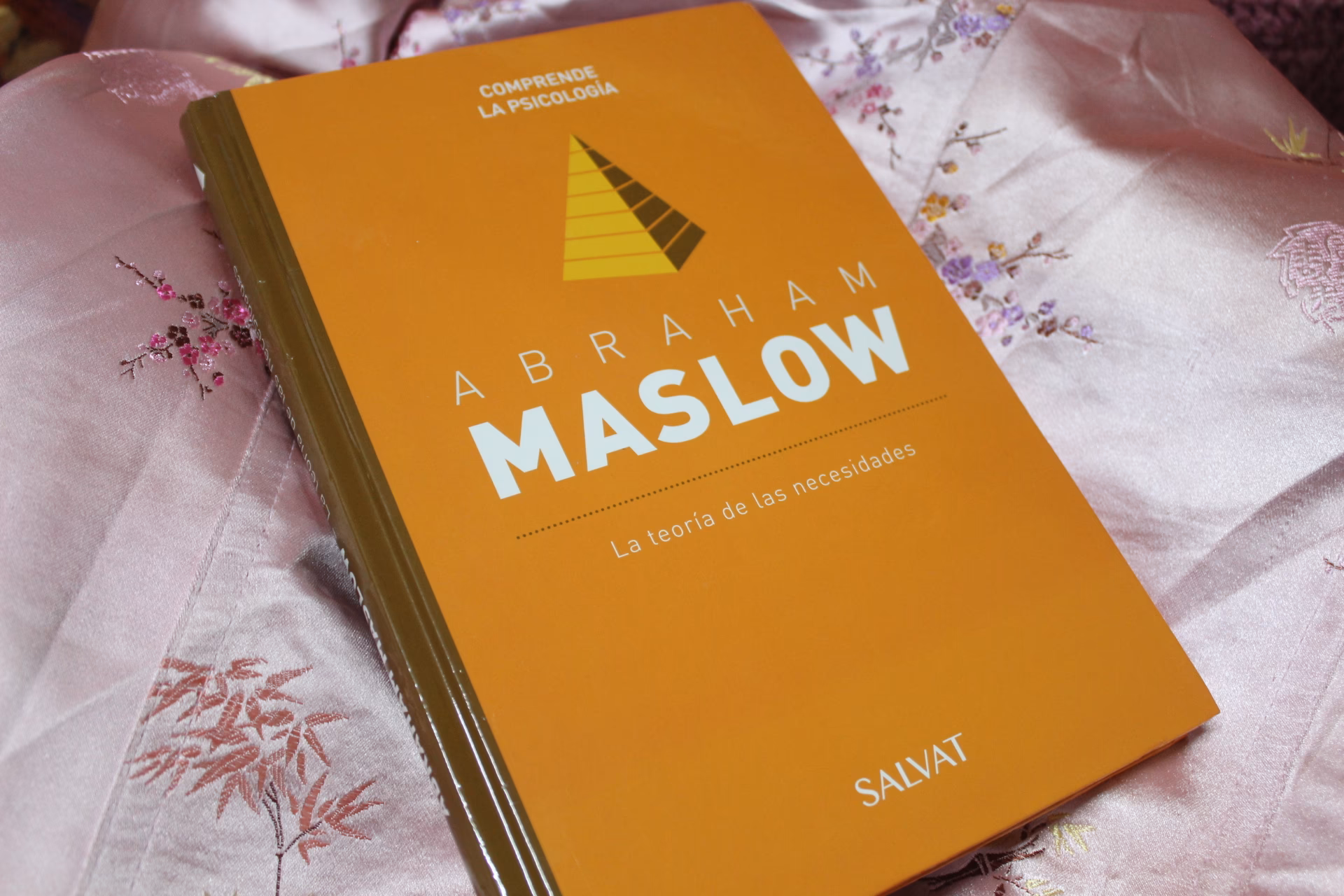 ¿Qué es la teoría de las necesidades adquiridas?