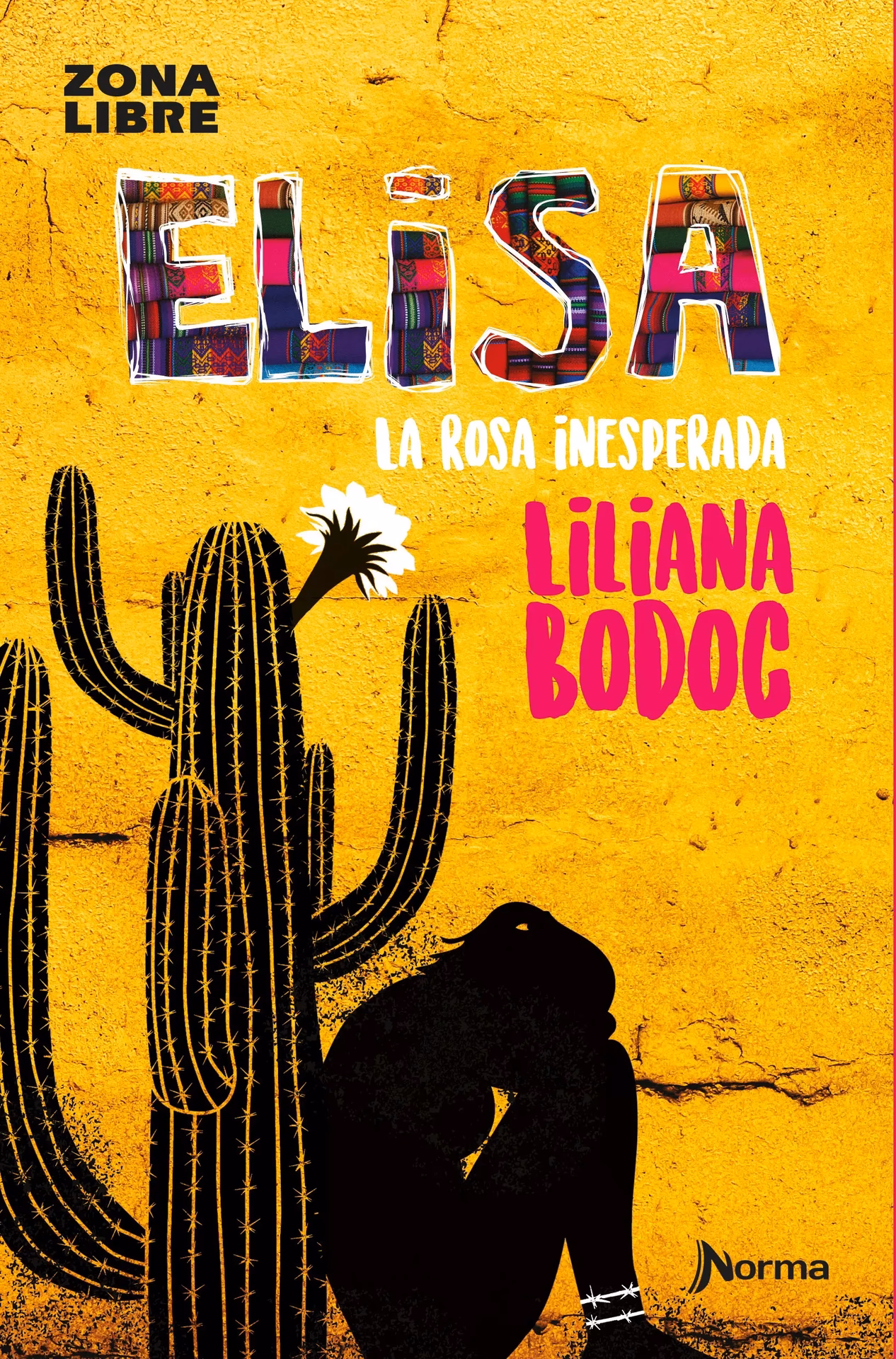 ¿Qué busca Elisa en la búsqueda de identidad?