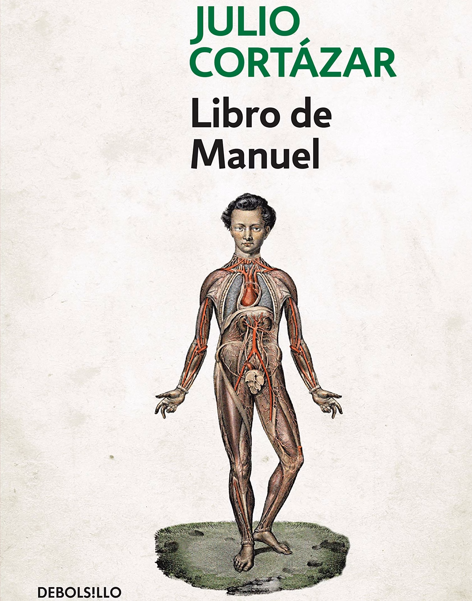 ¿Qué tipo de novela es libro de Manuel?