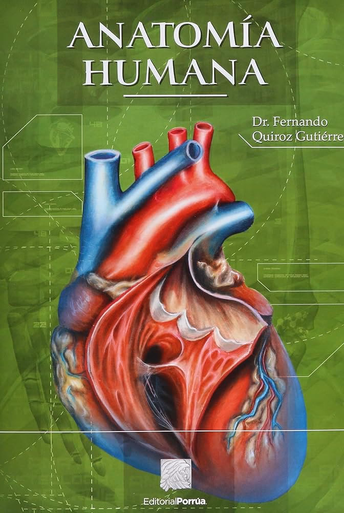 ¿Qué es fundamental en el desarrollo del sistema vestibular?