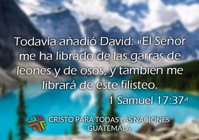 ¿Por qué te libras de todo lo que sobra?