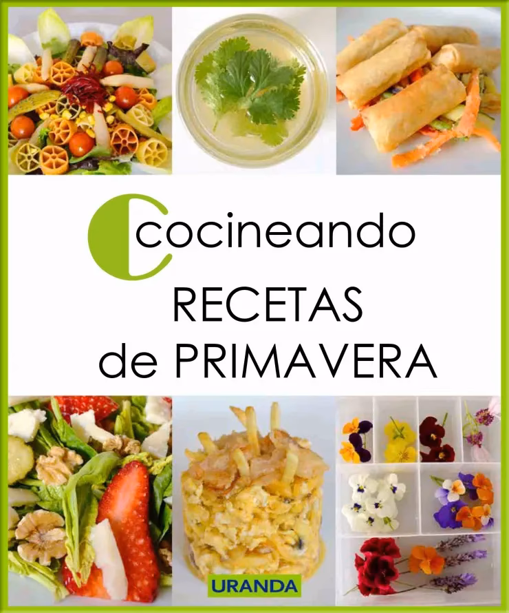 ¿Qué es un recetario de cocina gratuito?
