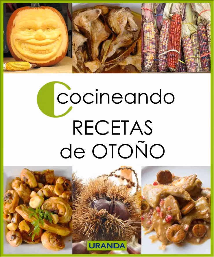 ¿Cómo ganar dinero con libros de cocina?