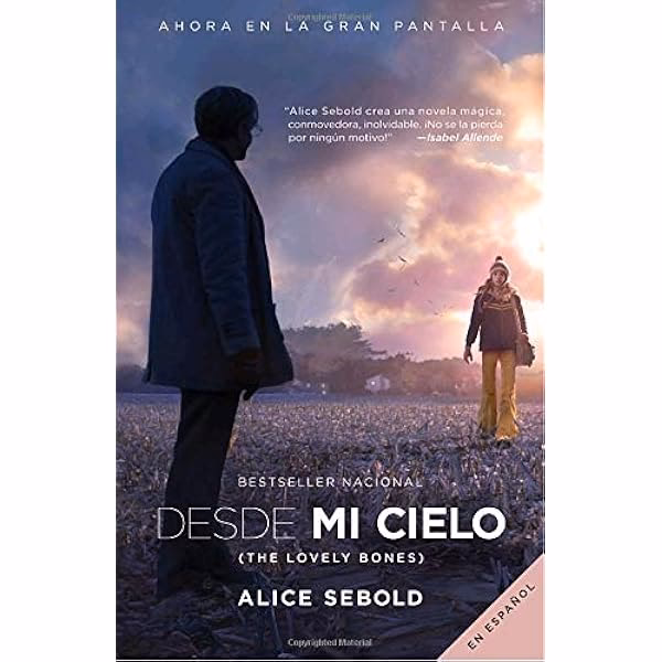 ¿Cuántas páginas tiene la reseña Desde mi cielo?