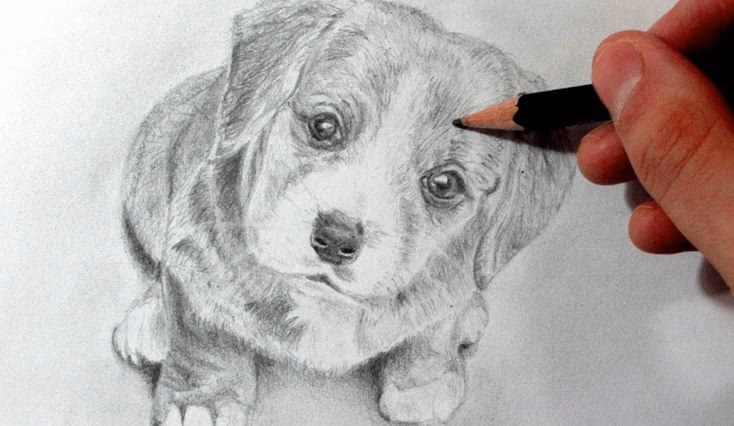 ¿Cómo puedo aprender a dibujar?