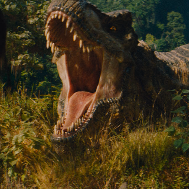 ¿Cómo buscar información en un dinosaurio?