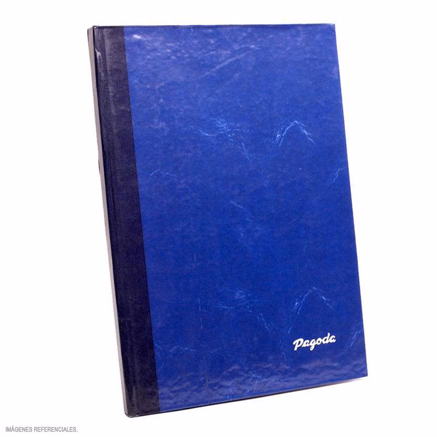 ¿Quién debe llevar dos libros de actas?