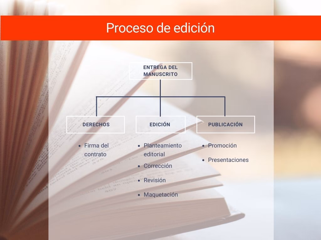 ¿Cuáles son los diferentes tipos de edición de un libro?