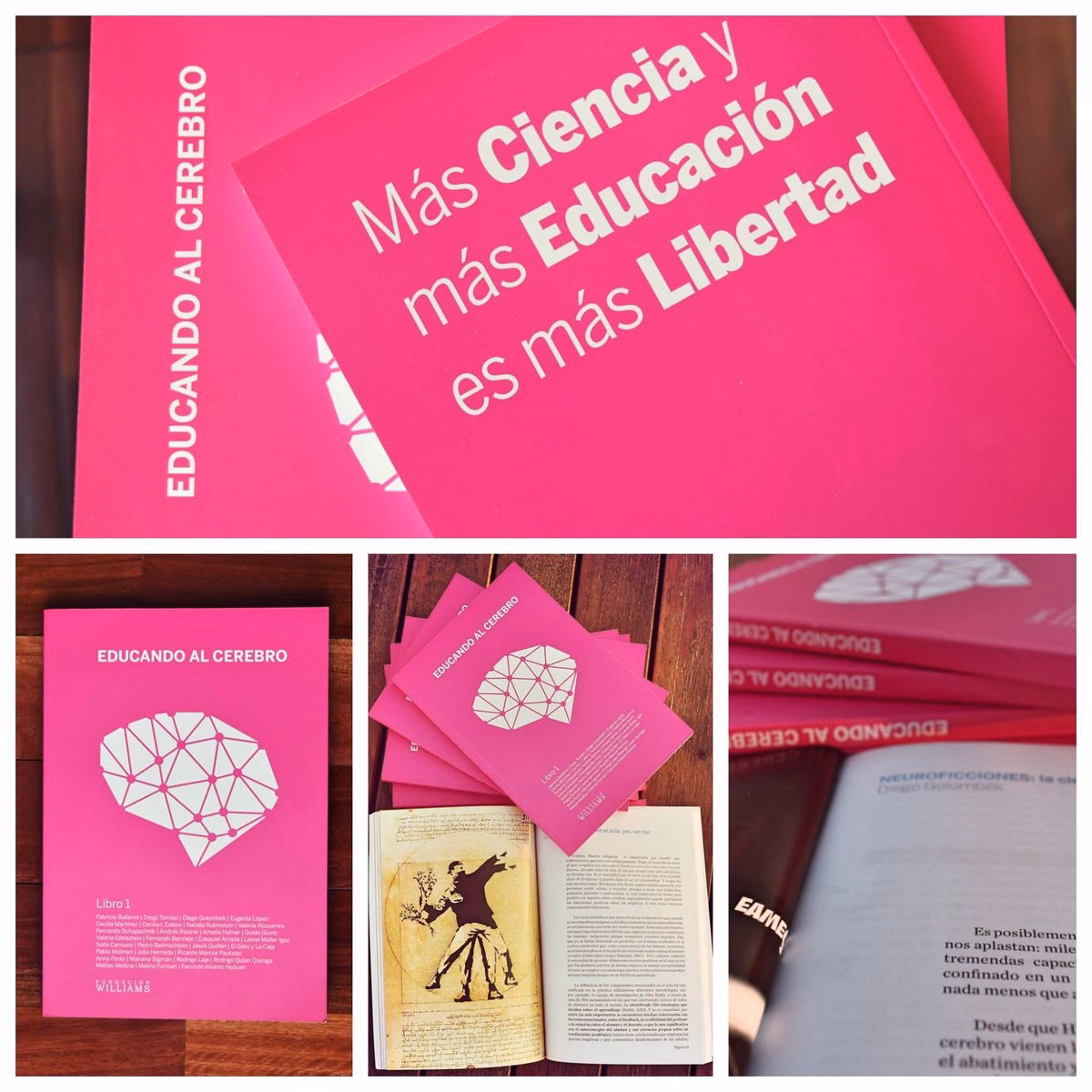 ¿Quién es el autor del vídeo entender el cerebro de los niños para educar mejor?