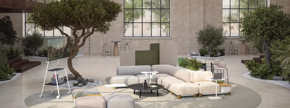 ¿Qué servicios ofrece solida equipamiento integral?